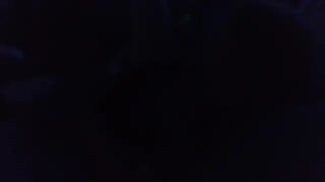 davidgntxxxxx online show from 4, 10, 2025