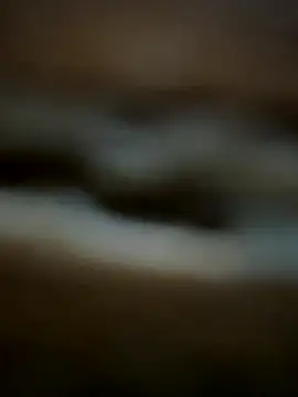 buodiculo online show from 29, 10, 2025