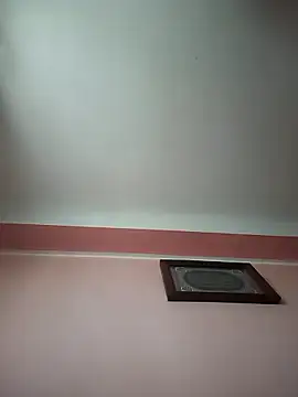 Combined Camp online show from 9, 1, 2026