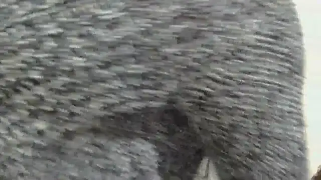 sluttylaura21 online show from 4, 12, 2025