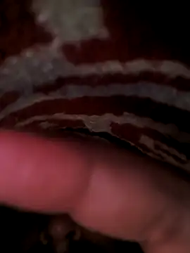 rajstrip12650 online show from 3, 3, 2025