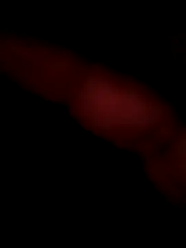 rajstrip12650 online show from 25, 2, 2025