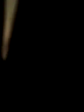 rajstrip12650 online show from 22, 12, 2025