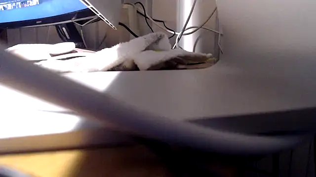 Tommitoo online show from 22, 2, 2026