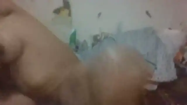 paradisejas online show from 12, 3, 2026