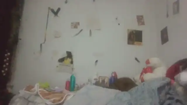 paradisejas online show from 5, 4, 2026