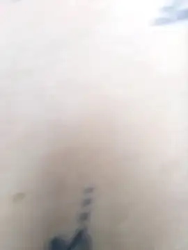 miley jensen online show from 26, 2, 2025