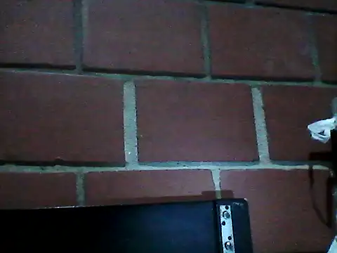 kaninrubio90 online show from 9, 11, 2025