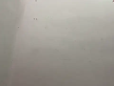 CALVINXXX online show from 21, 2, 2025