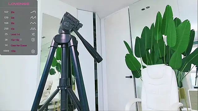 wowEva online show from 31, 1, 2025