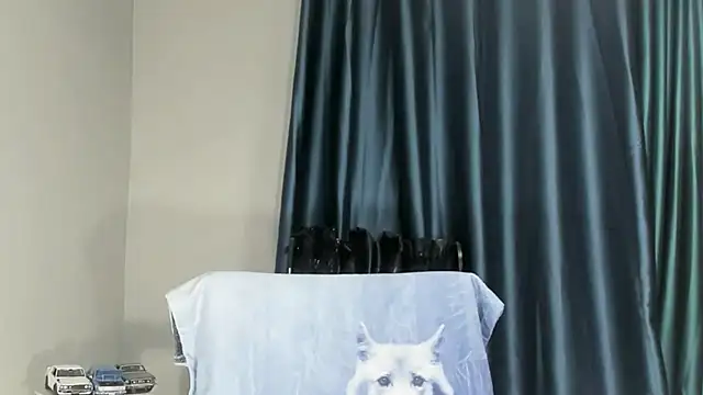 Snapshot of IndianBibix chatting on 23, 9, 2025 IndianBibix online show from 23, 9, 2025