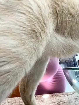 Snapshot of lupyta20 chatting on 5, 10, 2025 lupyta20 online show from 5, 10, 2025