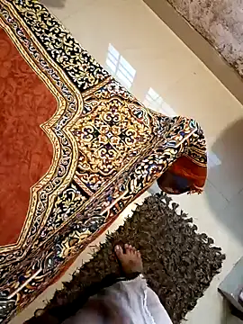 Mallu-Gayathri Arun online show from 22, 12, 2024