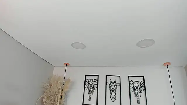 Rebeca jones online show from 15, 11, 2025