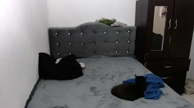 xx nath xx online show from 6, 12, 2024