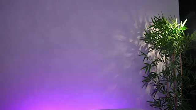 ArtTeasee online show from 30, 3, 2026