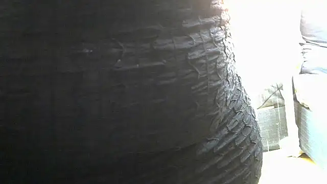 AddictiveAssCurves online show from 8, 3, 2025