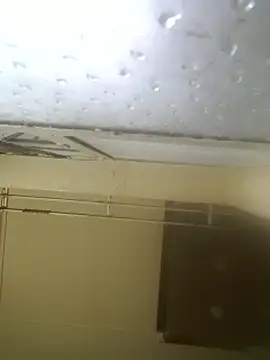 AddictiveAssCurves online show from 5, 3, 2026