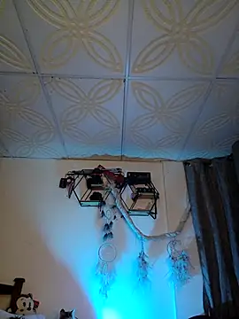 Piafisher1 online show from 4, 10, 2025