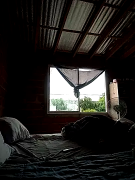 maruli online show from 14, 3, 2026