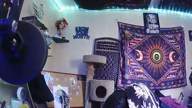 spunlikecottoncandy online show from 31, 3, 2026