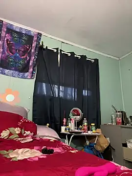 DominiqueX0 online show from 13, 1, 2026