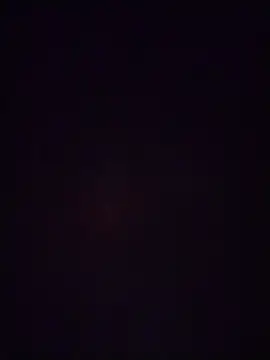 LissaThompsom online show from 22, 12, 2025