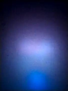 LissaThompsom online show from 21, 9, 2025