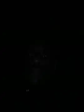 Annonymous607 online show from 9, 11, 2025