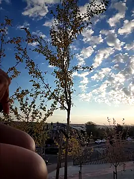 bellapaty online show from 8, 10, 2025