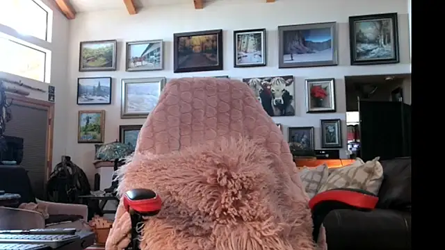 littlepistol01 online show from 13, 6, 2026