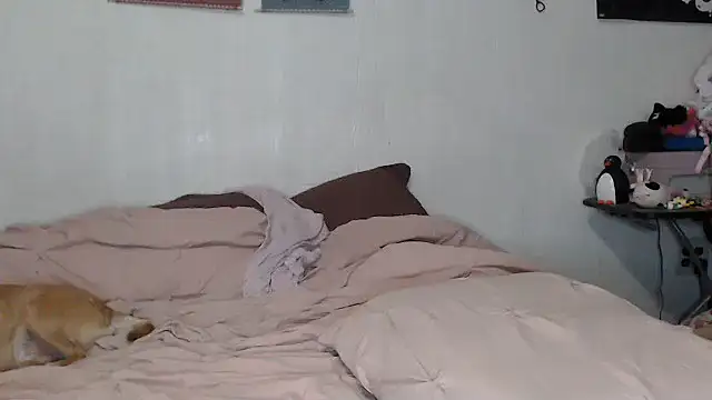 Cupcakecutie449 online show from 9, 11, 2025