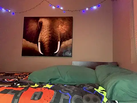 Bwcjoshbanks online show from 12, 1, 2026