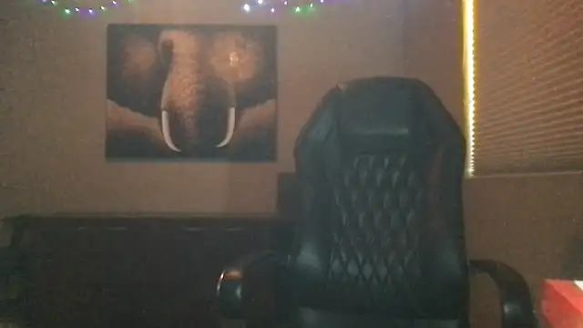 Bwcjoshbanks online show from 28, 3, 2026