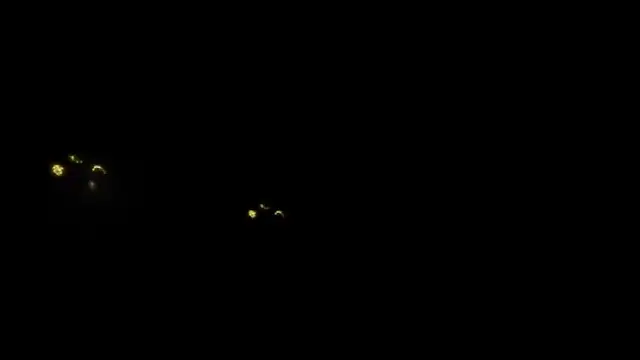 denise sweetbunny online show from 14, 2, 2026