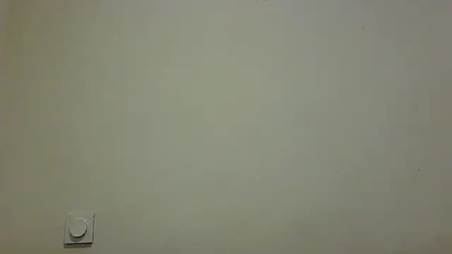 feline27 online show from 8, 11, 2025