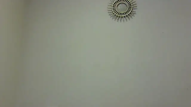 feline27 online show from 7, 11, 2025