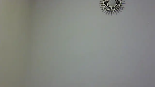 feline27 online show from 11, 11, 2025