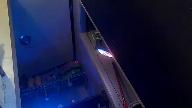 Bi curious86 online show from 1, 11, 2025