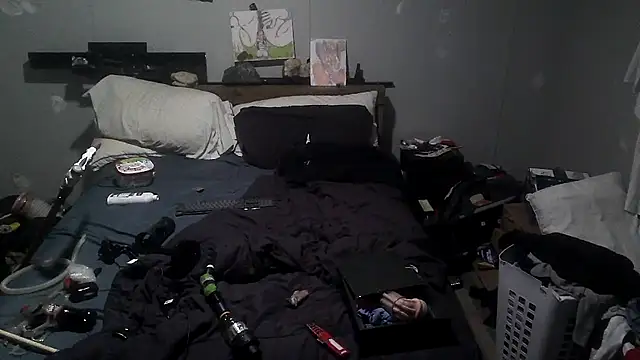 Bi curious86 online show from 17, 4, 2026