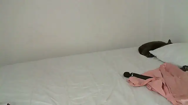 salome  milf online show from 16, 2, 2025