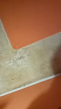 ducicsajsziii online show from 19, 3, 2025