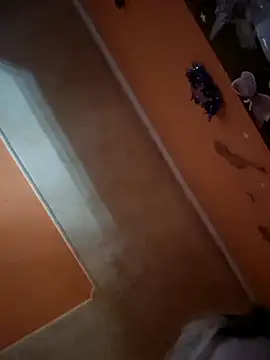 ducicsajsziii online show from 21, 12, 2025