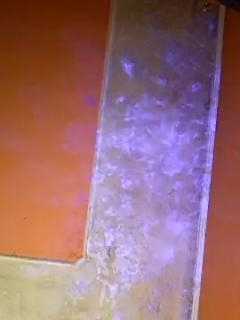 ducicsajsziii online show from 7, 3, 2025