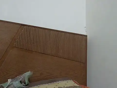 shekira99 online show from 12, 11, 2025