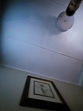 j hollywood91 online show from 30, 11, 2025