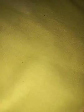 ALLDOMX online show from 19, 4, 2026