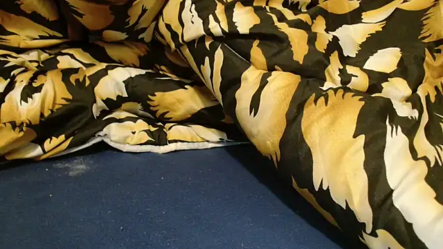 Snapshot of ROXYNL chatting on 4, 12, 2024 ROXYNL online show from 4, 12, 2024