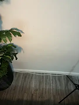 Snapshot of demonslayerr999 chatting on 21, 3, 2025 demonslayerr999 online show from 21, 3, 2025