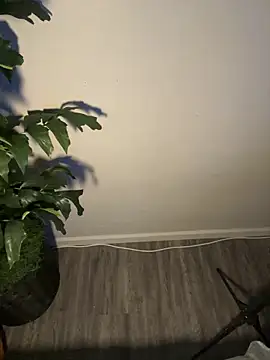 Snapshot of demonslayerr999 chatting on 11, 3, 2025 demonslayerr999 online show from 11, 3, 2025